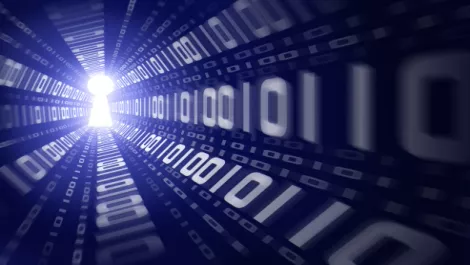 Four in 10 Kiwis unaware of mobile security policies