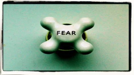 Program your IT start up for success