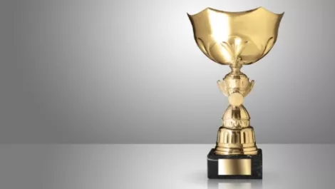 Skinny Mobile wins customer service award
