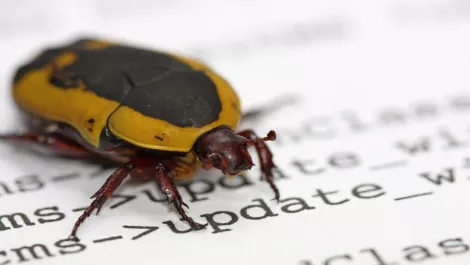 Ixia: Developers must improve security testing and nab those anomalies