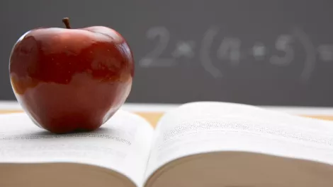 NZ sitting rosy when it comes to education, OECD report finds