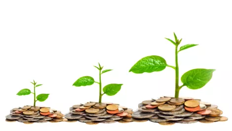 Industry-leading iPaaS solution for NZ's 'thriving digital economy'