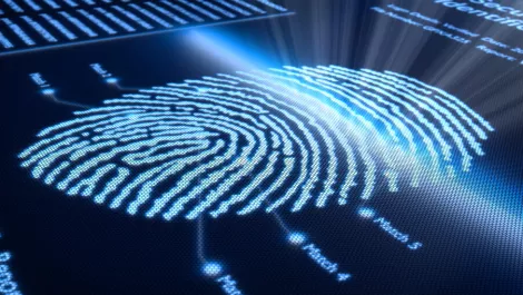 MPA scores Kiwi distribution agreement for global digital forensics software