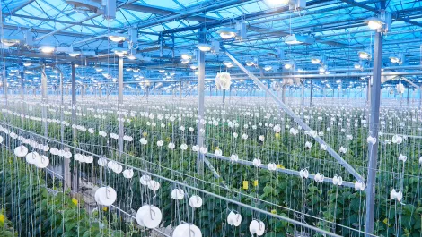 Biotech an ailing area of NZ economy