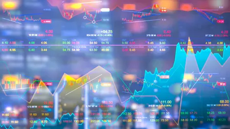 Harvey Norman NZ financial results exposed