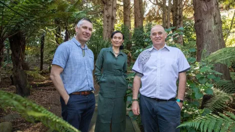 Researchers to examine Māori perspectives on ethical data management