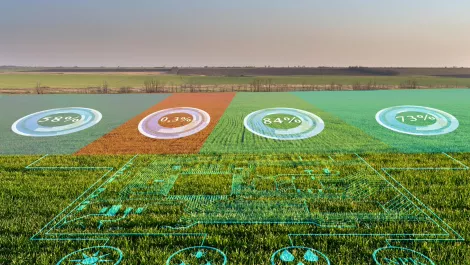 DIT changes name to match greater AgTech focus
