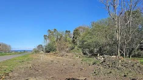'Under siege': Fury as trees cleared for power pylons